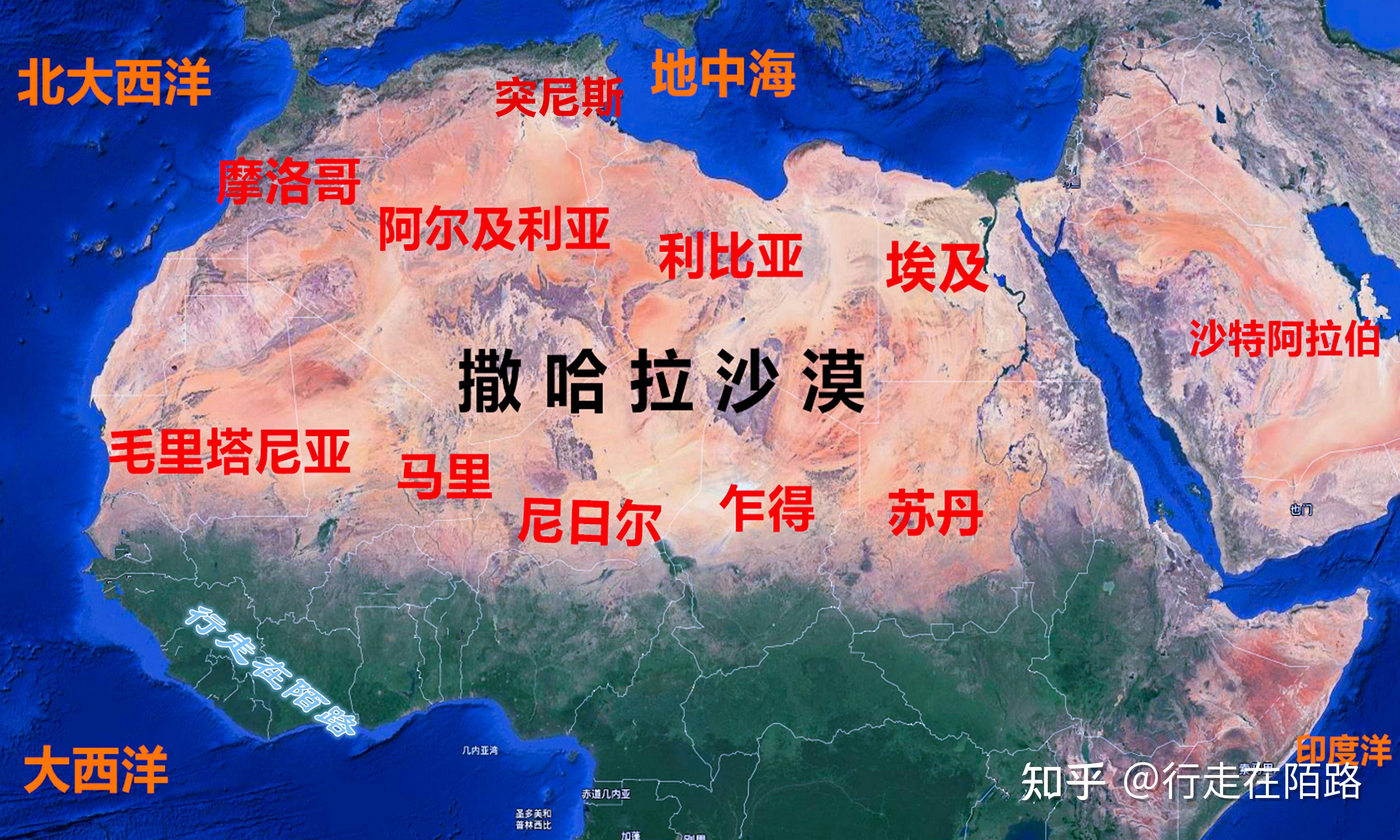 阿尔及利亚对阵南非，全神贯注追求胜利