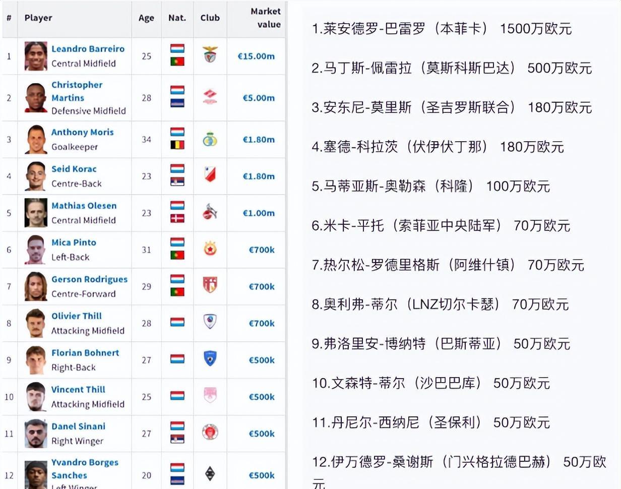 爱游戏在线-爱尔兰主场不敌卢森堡,遭遇意外失利的简单介绍