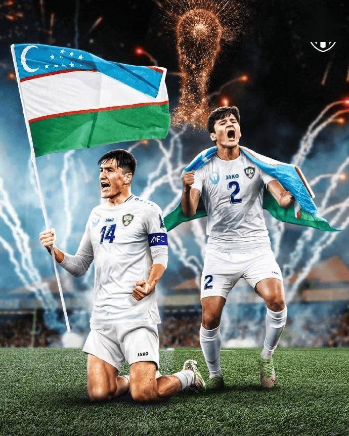 爱游戏APP-芬兰壮哉铩风,创造历史性突破晋级下一轮的简单介绍